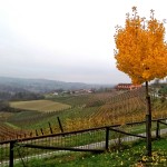 Just me, le mie intolleranze e il weekend degustazione.  – Weekend nelle Langhe