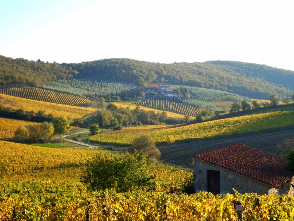 Chianti - Toscana