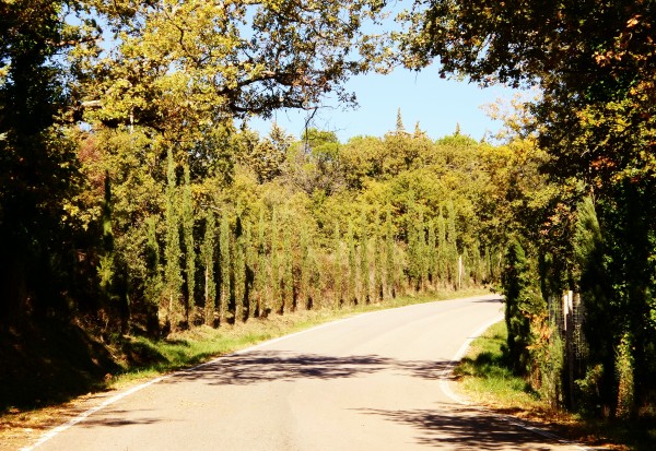 Chianti - Toscana