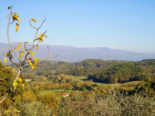 Chianti - Toscana