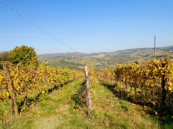 Chianti - Toscana