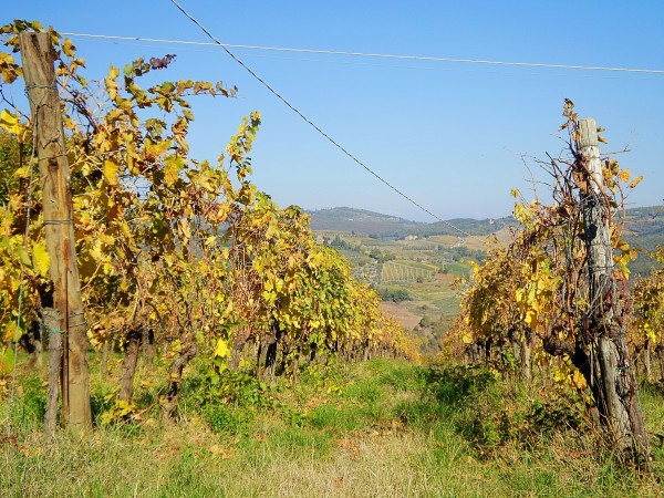 Chianti - Toscana