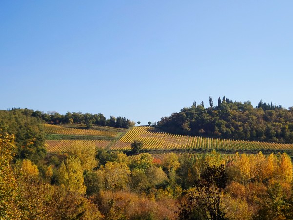 Chianti - Toscana