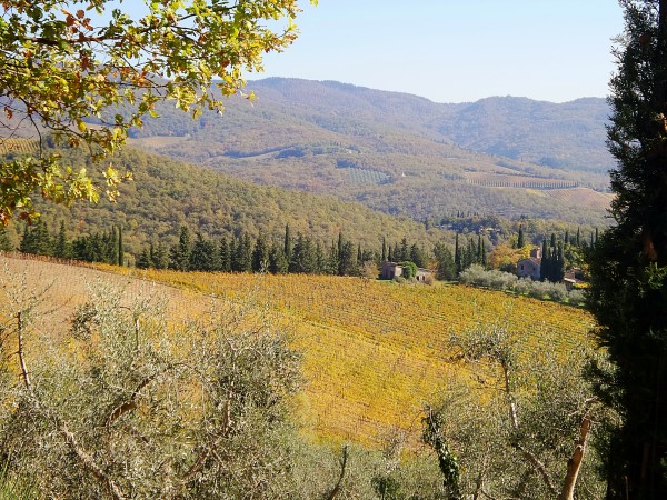 Chianti - Toscana