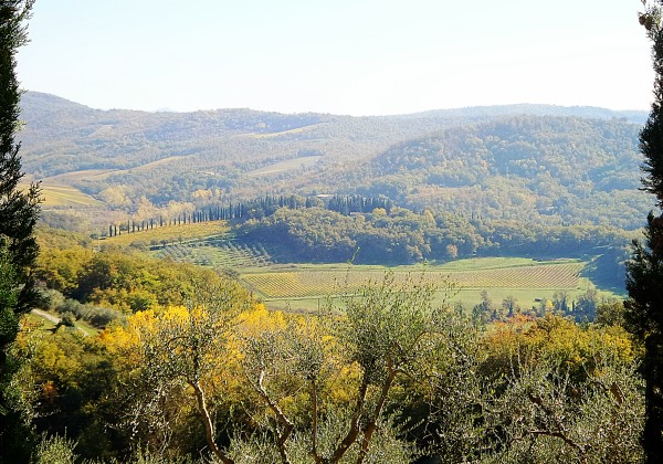 Chianti - Toscana