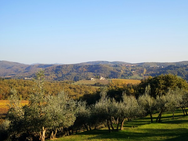 Chianti - Toscana