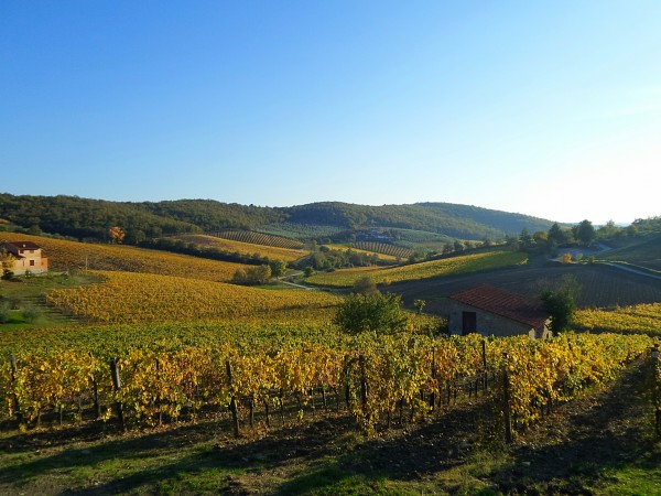 Chianti - Toscana