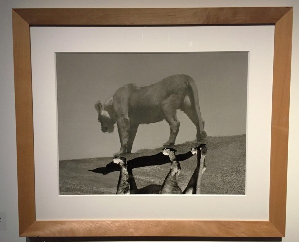 Herb Ritts - In Equilibrio - Milano