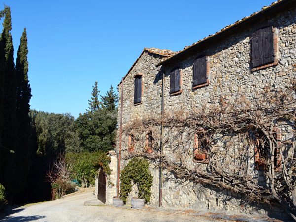 Fattoria Nittardi - Chianti