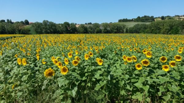 Recanati - Marche