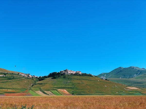 Fioritura - Castelluccio di Norcia - Umbria