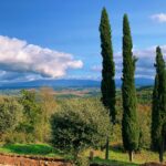 Travel Tips – Castello di Gargonza – Toscana