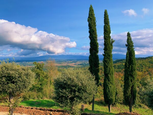 Castello di Gargonza - Toscana